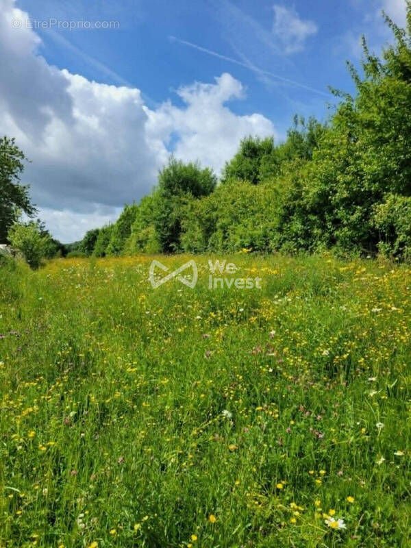 Terrain à VILLERS-CERNAY