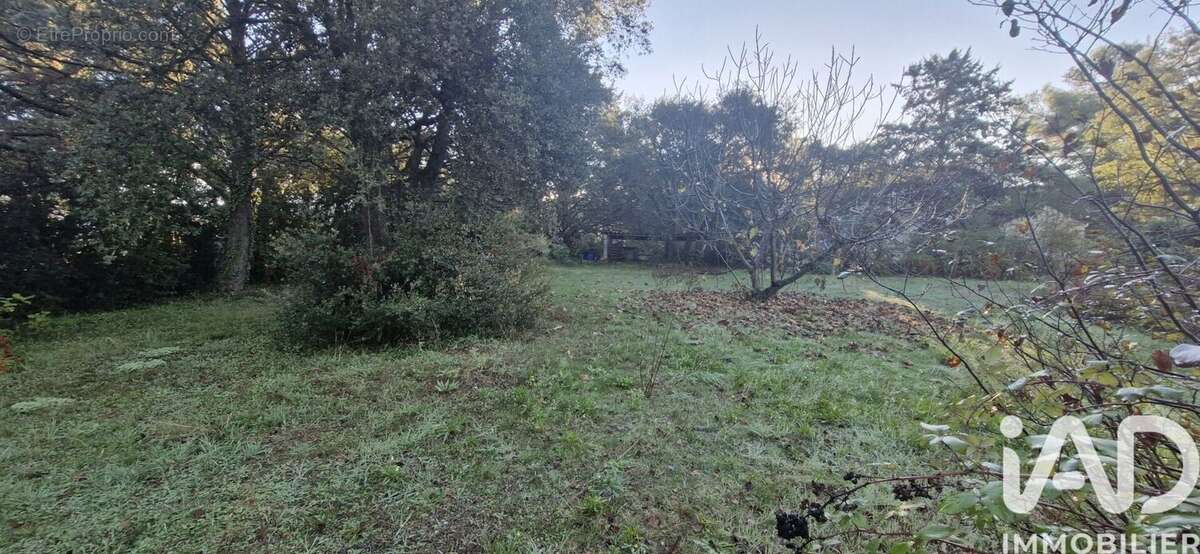 Photo 5 - Terrain à VILLEVIEILLE