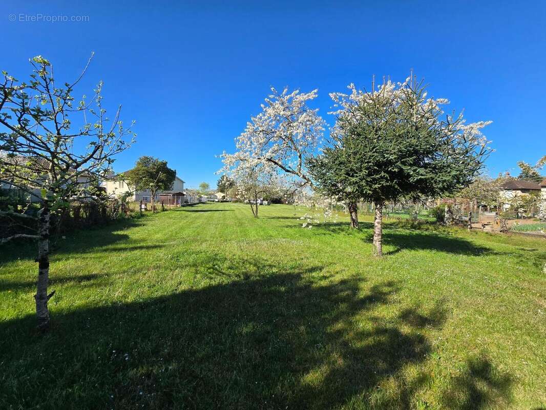 Photo 6 - Terrain à MONTMORILLON