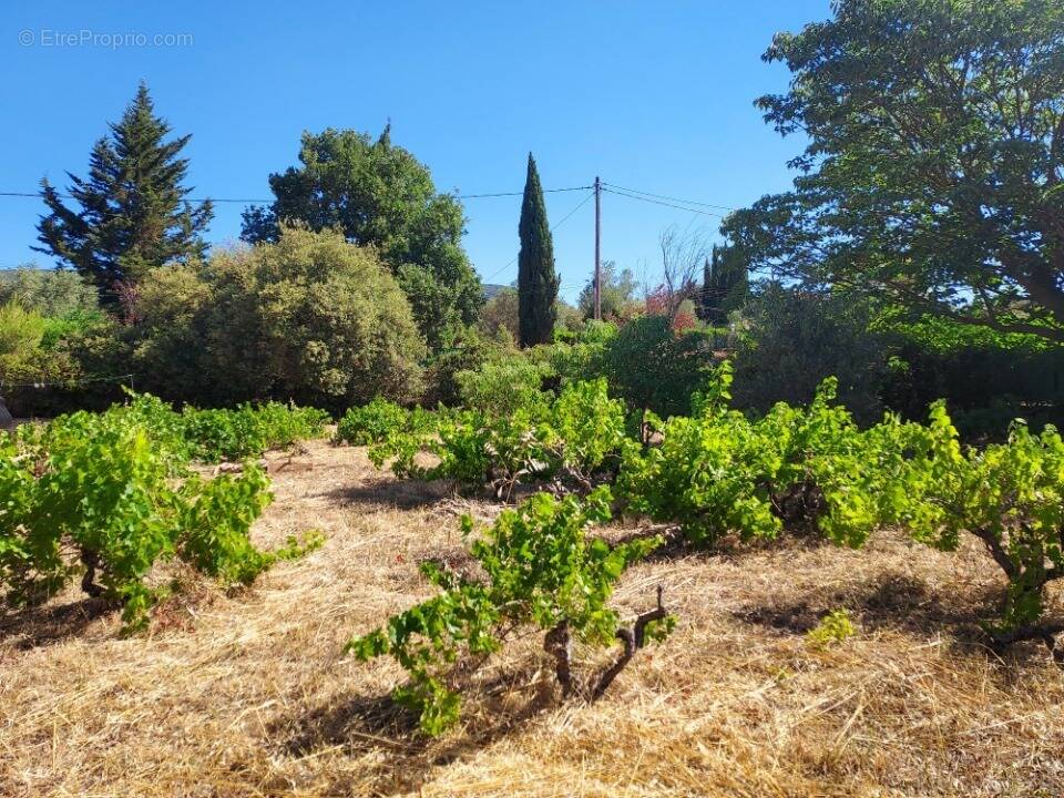 Photo Terrain à Sainte-Anastasie-Sur-Issole au prix de 129 000€