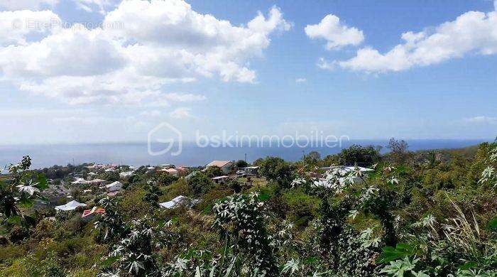 Terrain à VIEUX-HABITANTS