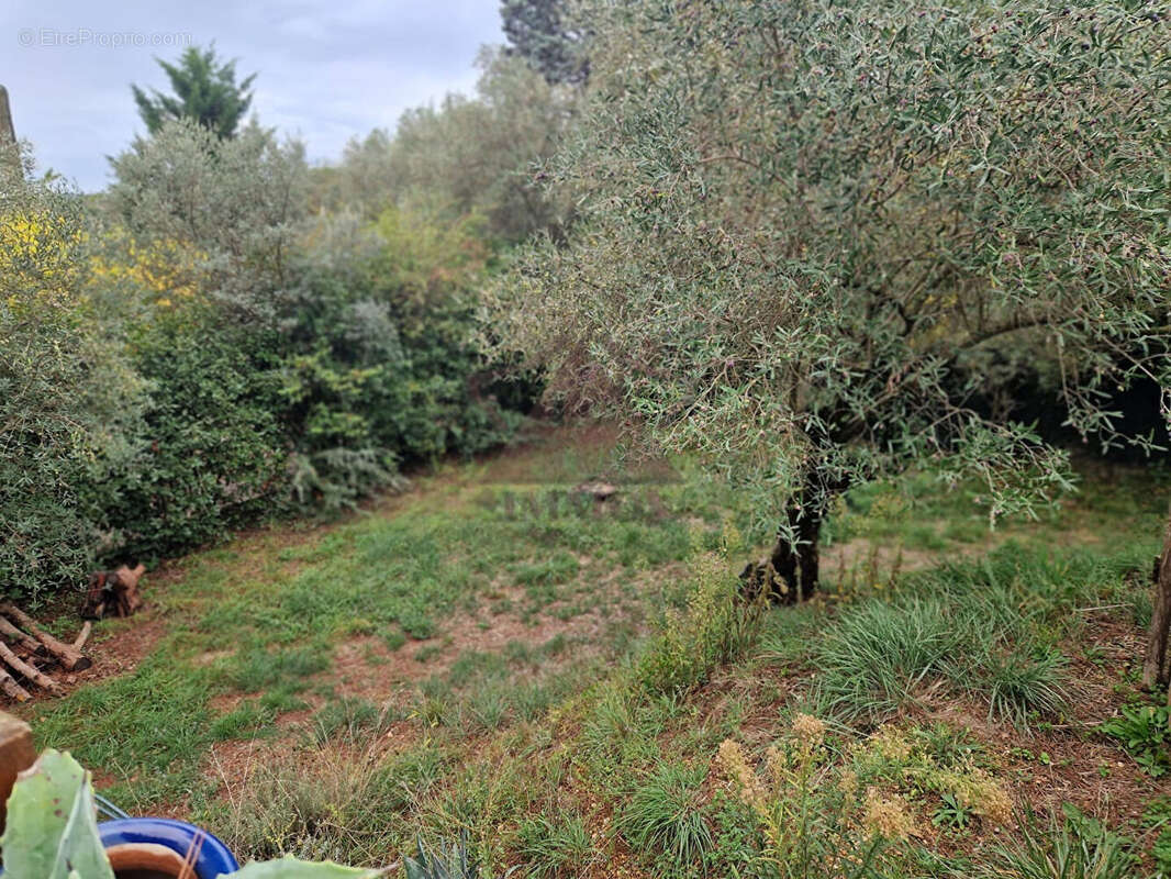 Maison à SAINT-AMBROIX