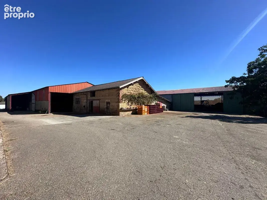 **exclusivite** saint jean sur reyssouze - ferme de caractère - 8 bâtiments -  210 000 m² de terrain - maison de 148 m² - photo 5