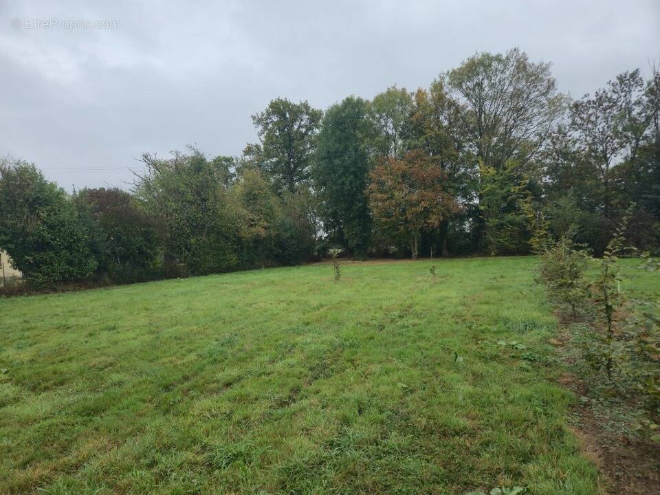 Terrain à BEUZEVILLE