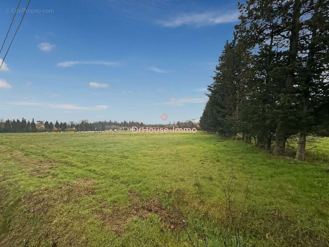 Terrain à CHEVAL-BLANC