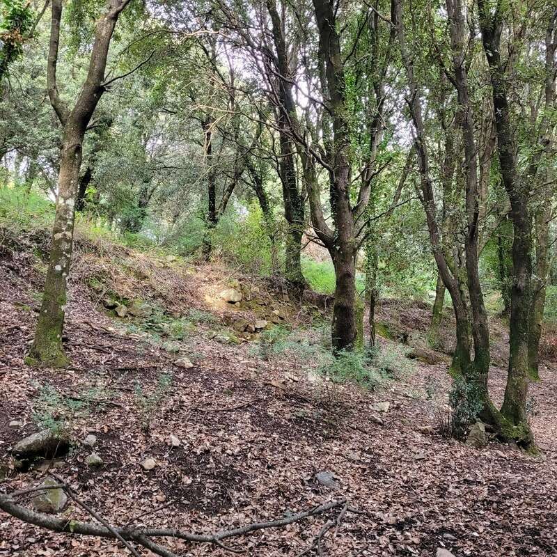 Dpt Corse (20), à vendre LEVIE terrain - photo 2