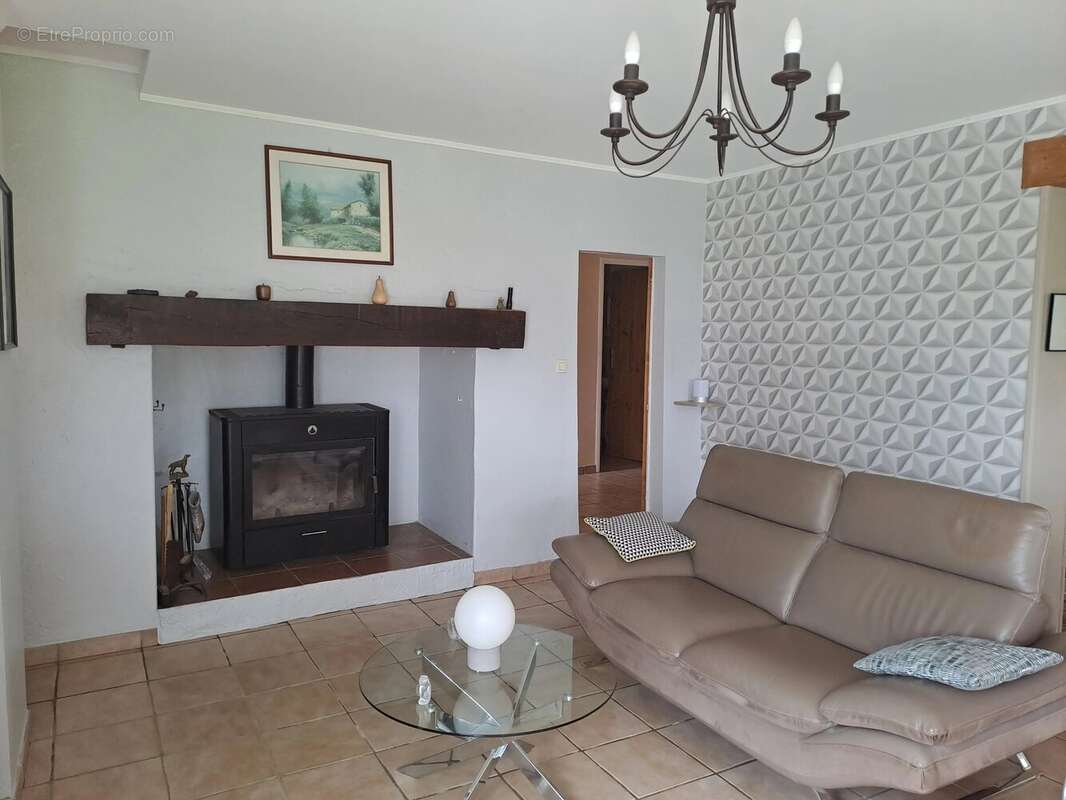 Jolie demeure avec maison d’amis à deux pas de Tonneins - photo 3