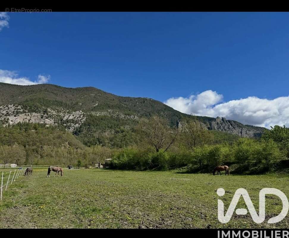 Photo 6 - Maison à ENTREVAUX