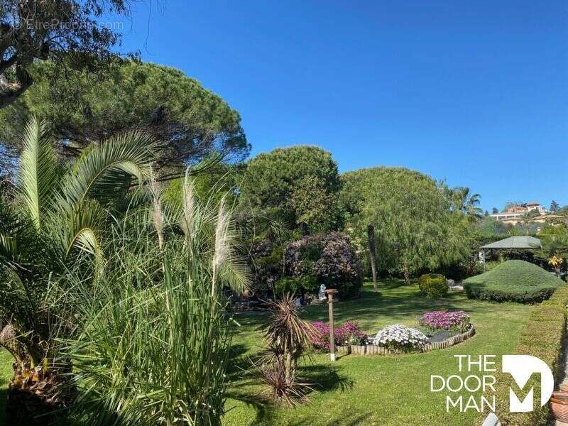 Propriété 06600 - photo 8