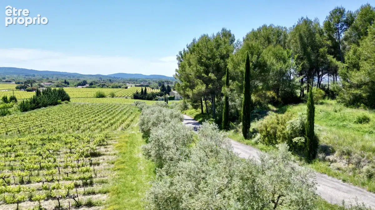 Ventoux   Domaine viticole de renom sur 18 ha - intimiste et vue dominante - photo 8