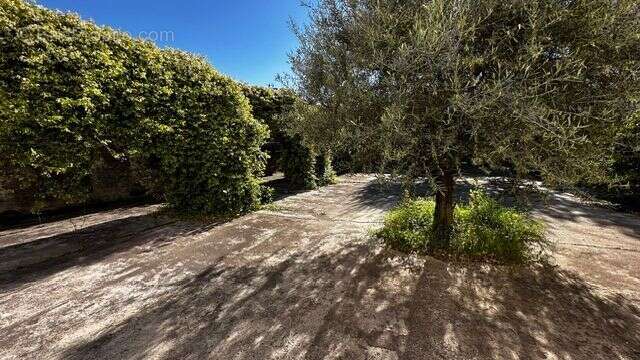 Appartement à VAISON-LA-ROMAINE