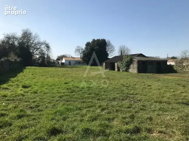 Bois de cene - photo 2