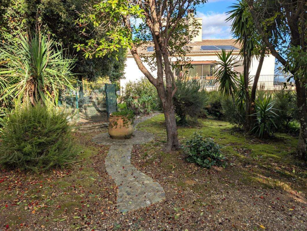 Maison à SANTA-MARIA-POGGIO