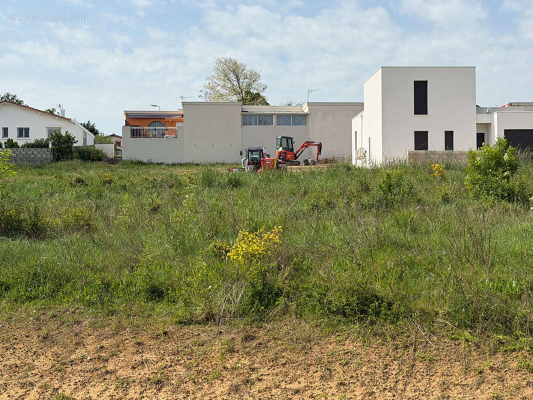 TERRAIN Constructible - photo 3