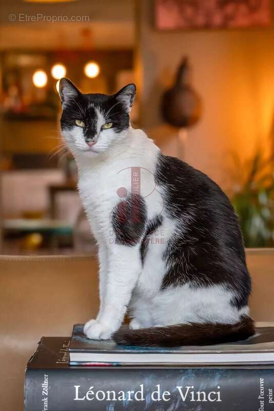 Maison à BOURRON-MARLOTTE