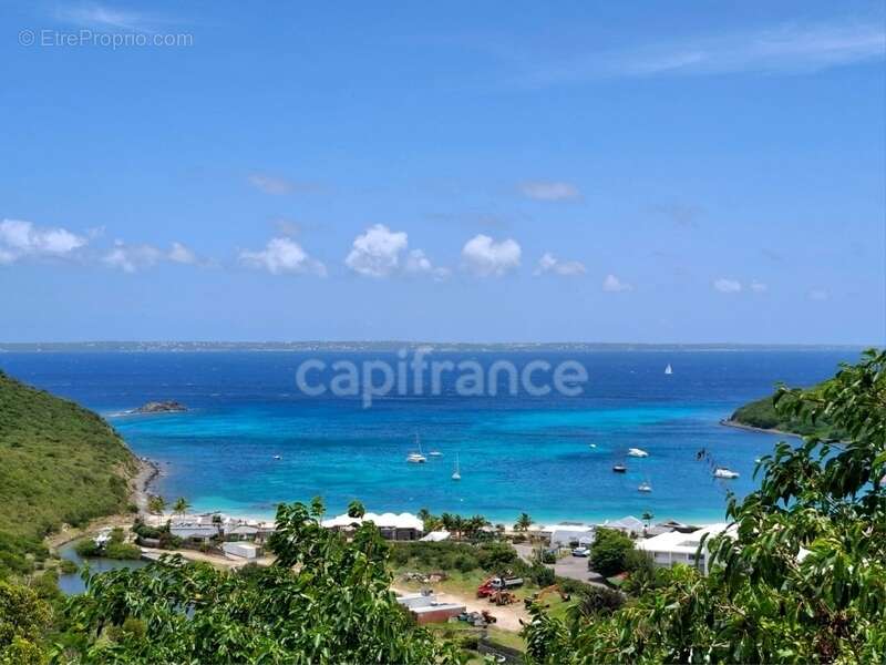 Terrain à SAINT-MARTIN