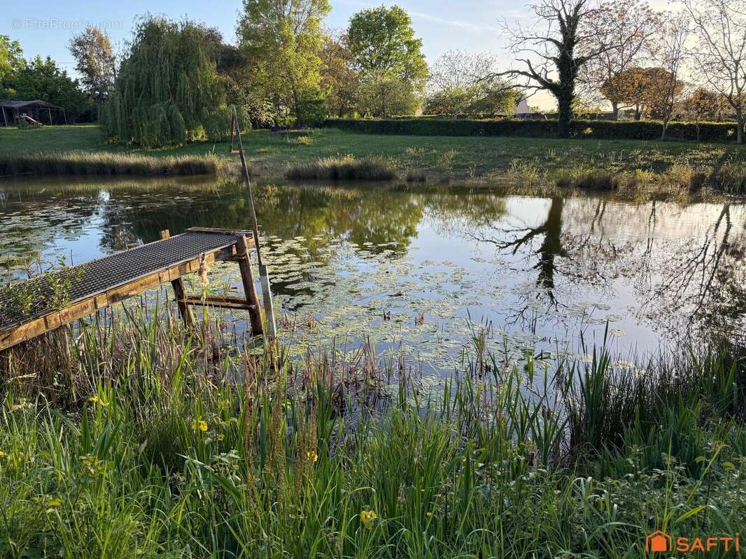 Photo 4 - Terrain à LE LION-D'ANGERS