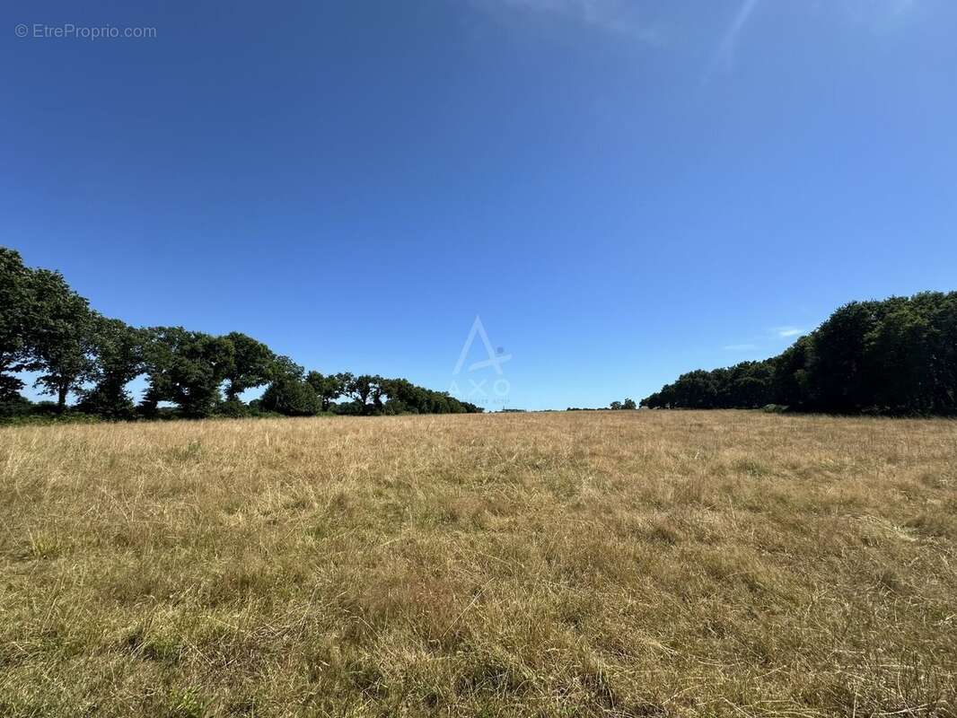 Morbihan sud - Locoal-Mendon - Rivière d'Etel - photo 7
