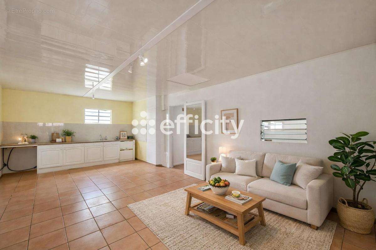 Maison à BRAS-PANON