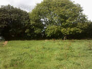 Terrain à LA MARTYRE