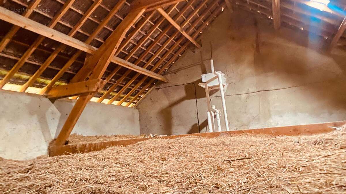 Sur 2700 m2 de terrain, belle ferme à rénover - photo 17