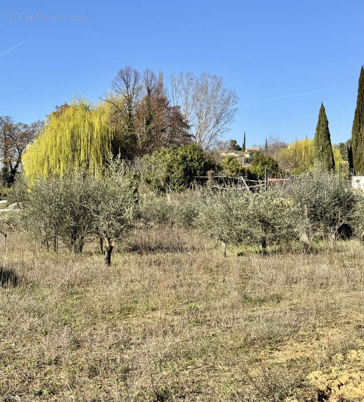 Terrain à VAISON-LA-ROMAINE