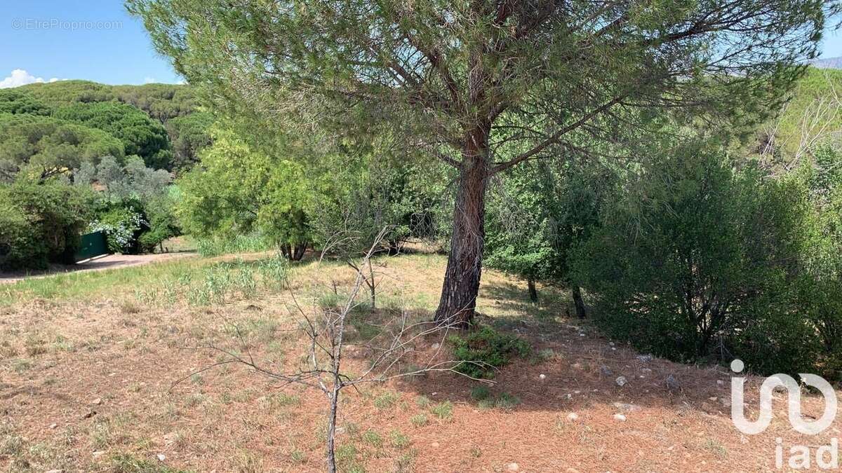 Photo 3 - Terrain à FREJUS