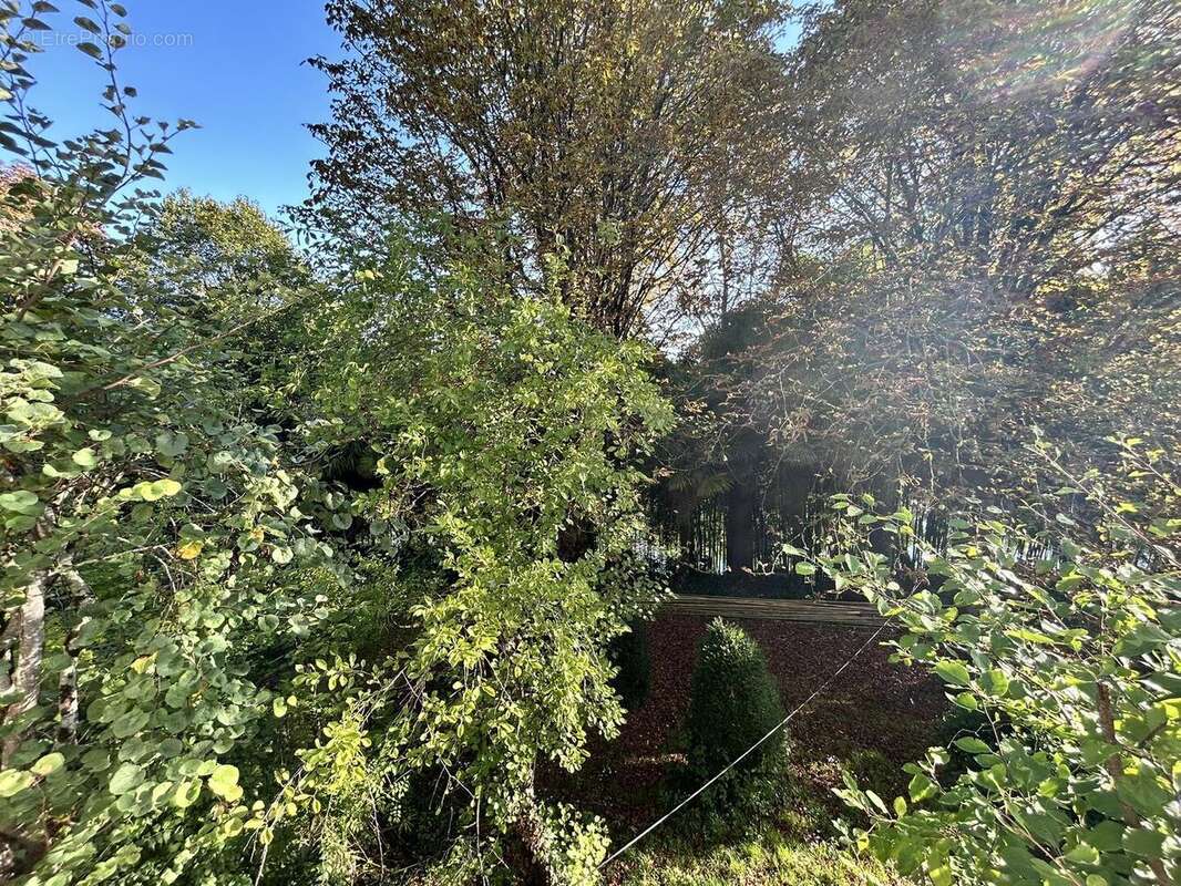 IMG2313 - Terrain à NIORT