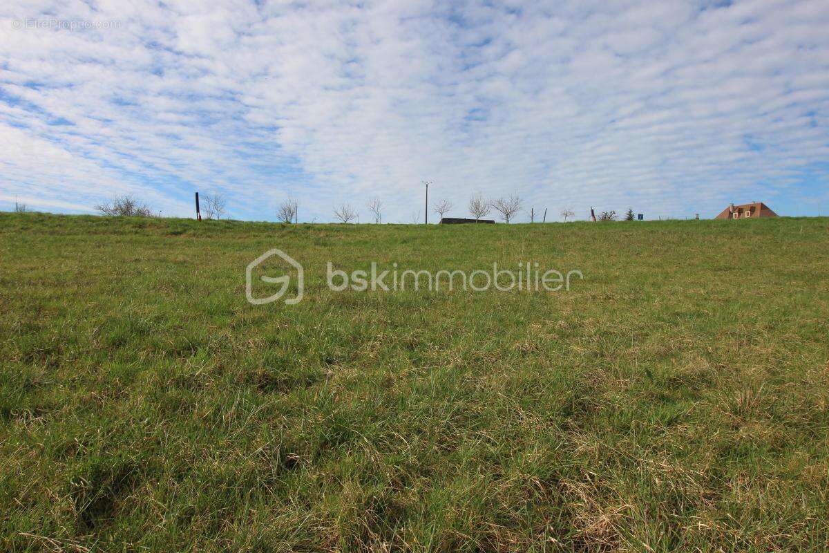 Terrain 1 ha dont étang et 4500 de constructible - photo 6