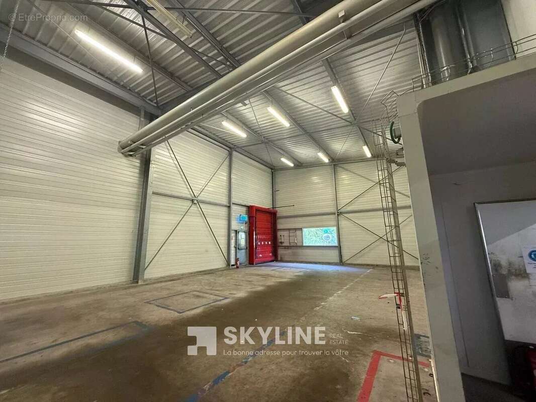 Commerce 23000 m² à Quimper  - photo 5
