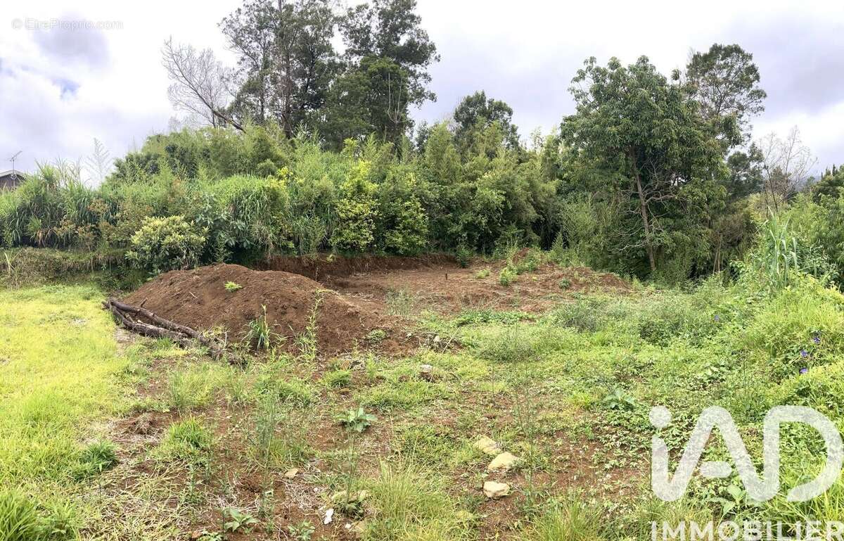 Photo 4 - Terrain à SAINT-PAUL