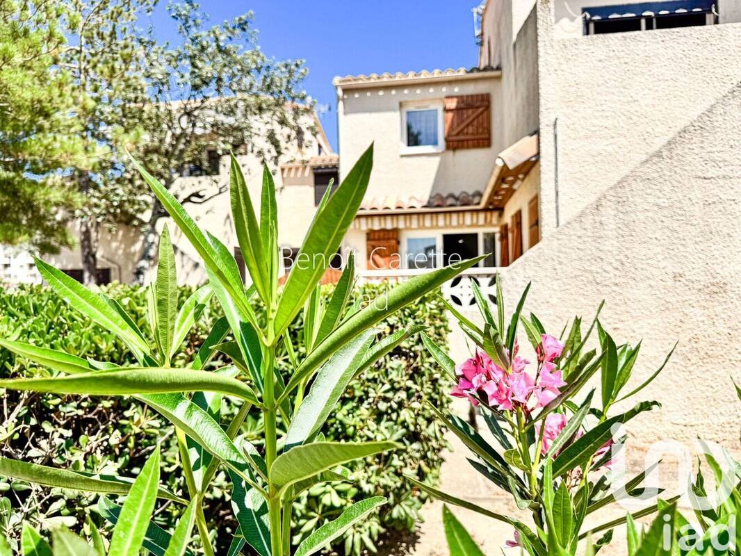 Photo 1 - Maison à LE BARCARES