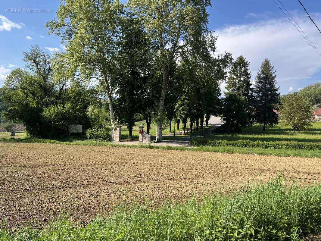 Terrain à CHAZEY-BONS