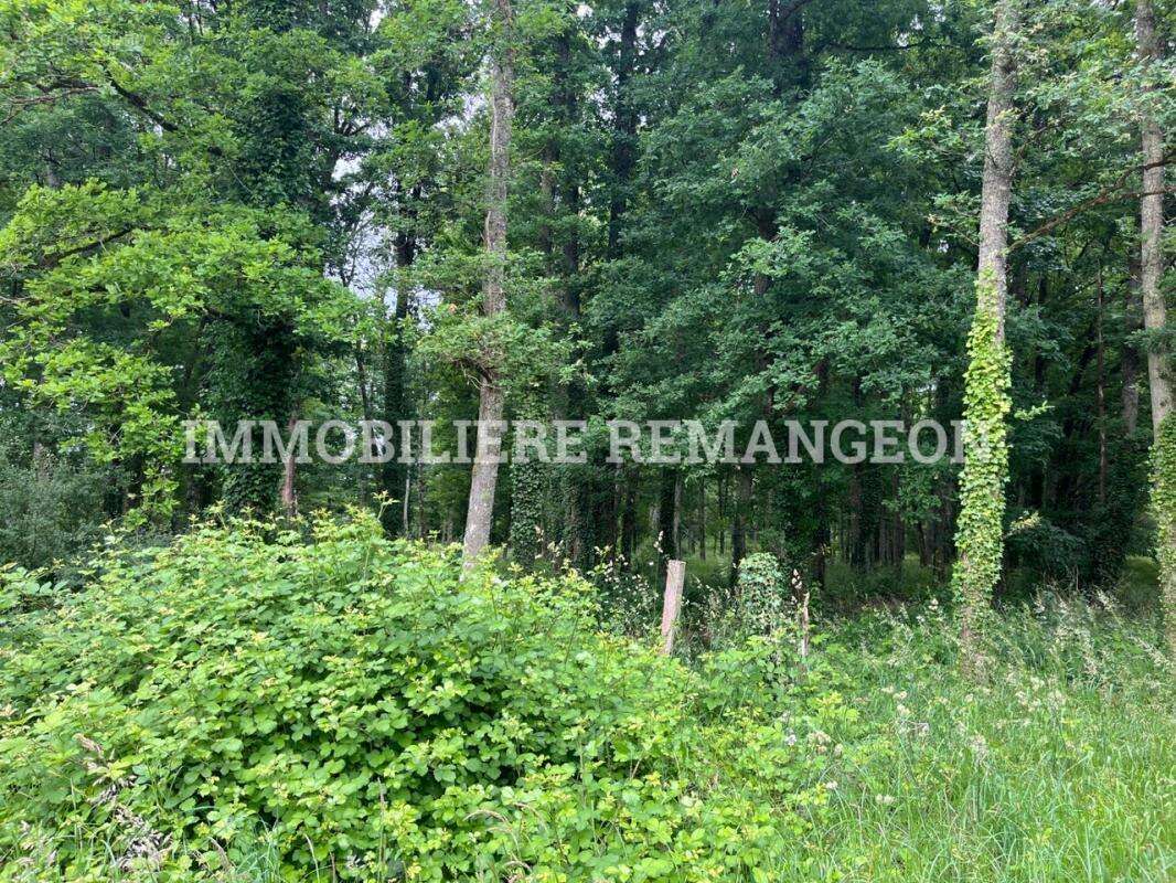 Maison à SAINT-VIATRE