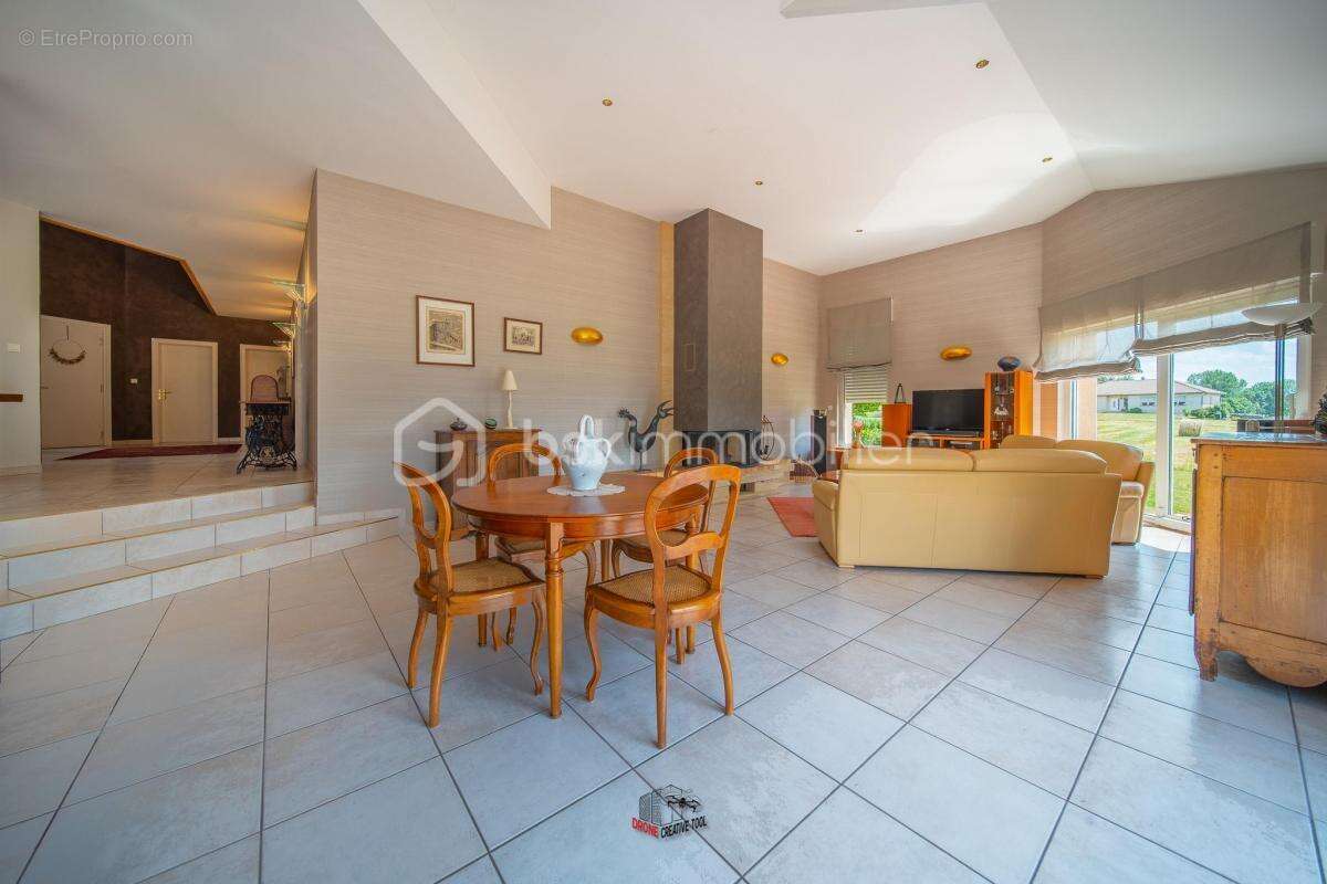 Maison d’architecte 290 m² – Parc paysager 8 000 m² – 5 ch – Entrée cathédrale – Secteur Boulay-Moselle - photo 5