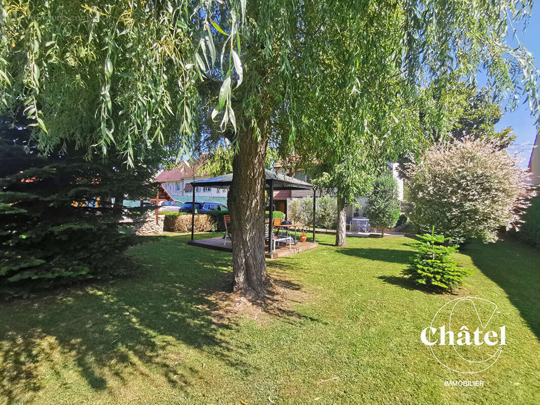 Maison à MONCHY-SAINT-ELOI