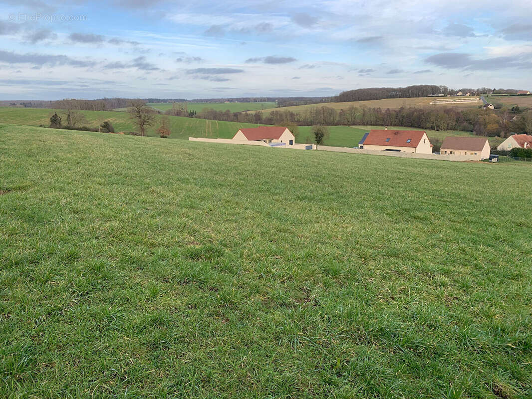 Terrain à BUSLOUP