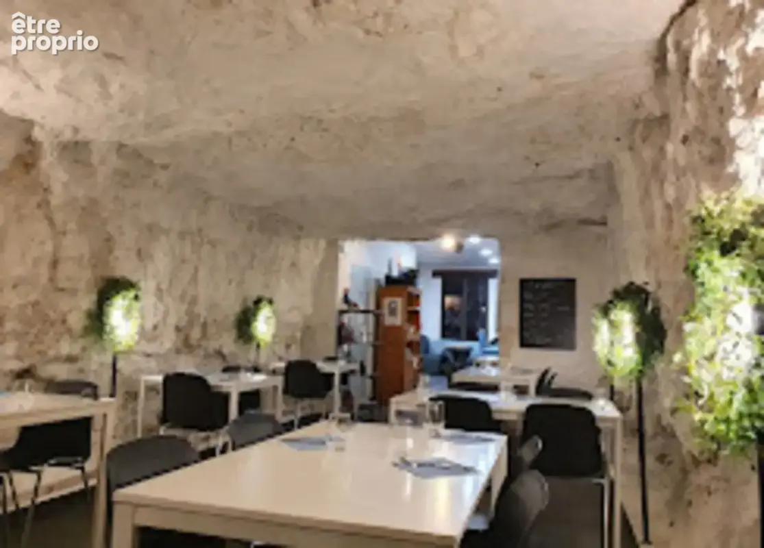 Fonds de commerce Crêperie-Bar à Vins-Restaurant à vendre CHAUMONT SUR LOIRE (41) - photo 2