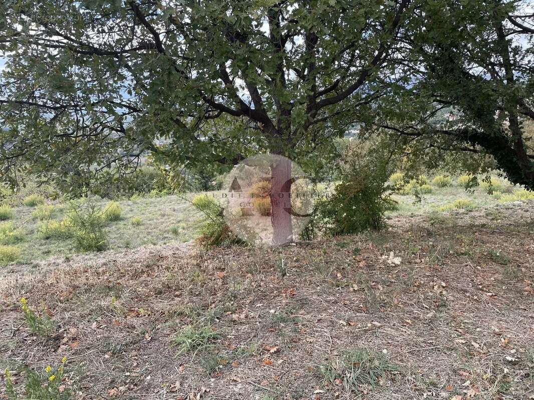 Terrain à MONTAUROUX