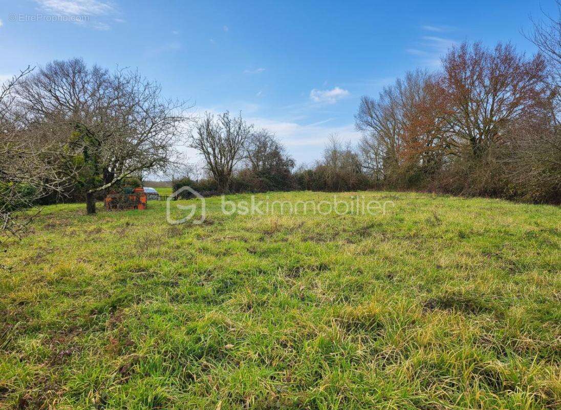 Venez découvrir ce grand terrain constructible à Sanxay (86) - photo 4