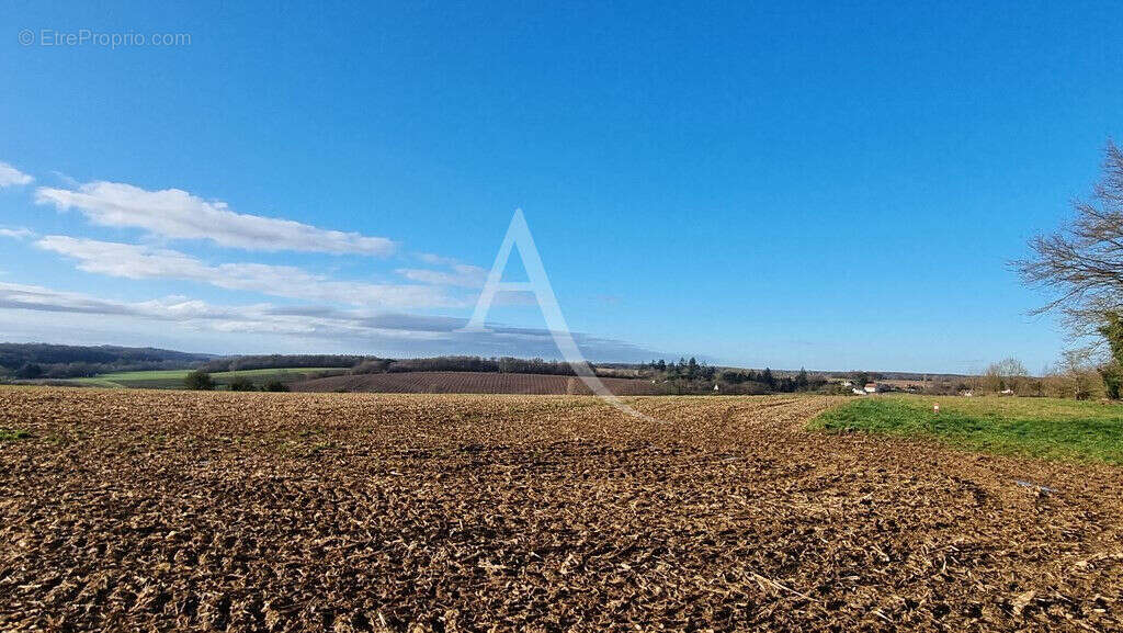 Terrain à LUCAY-LE-MALE