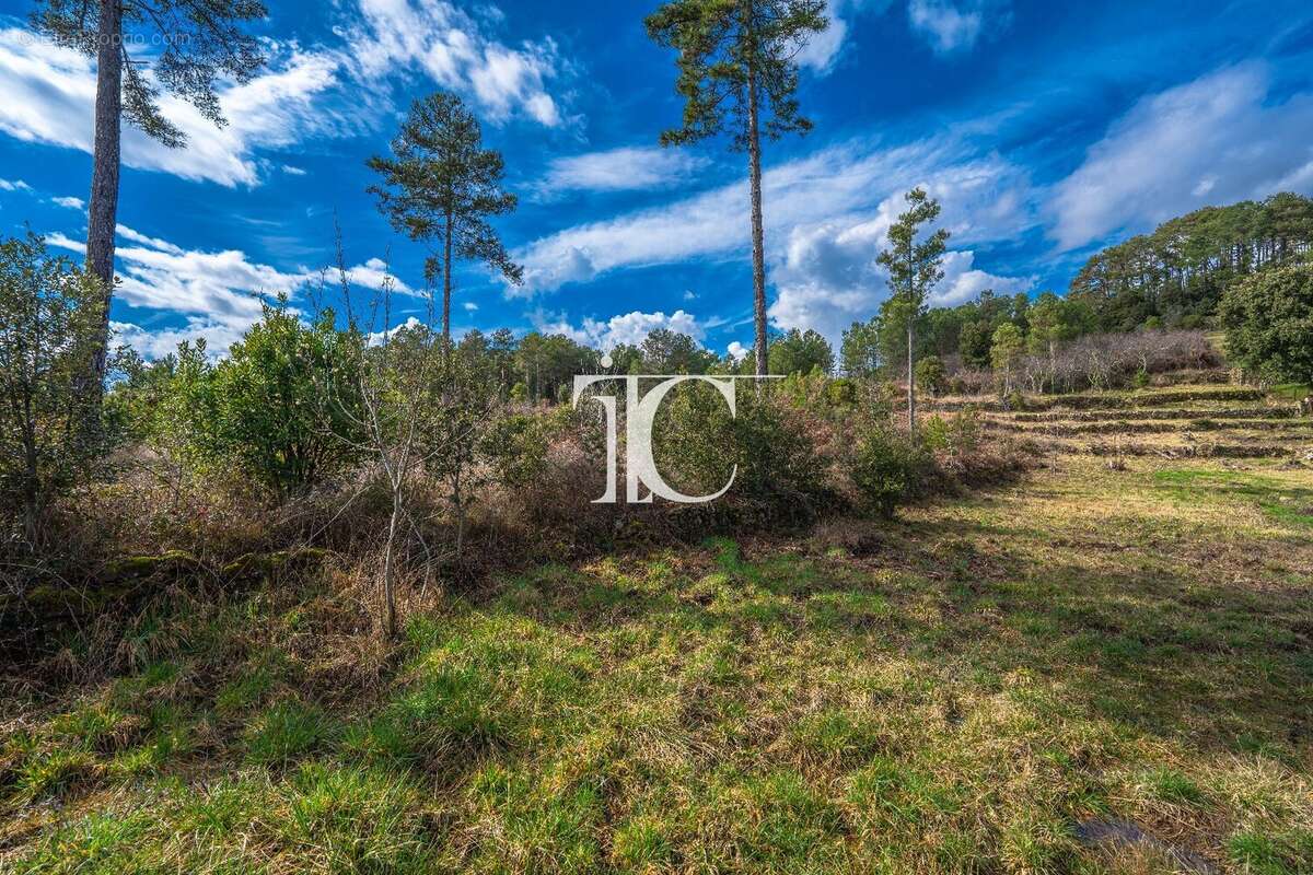 Terrain 9650m² situe plein sud - photo 6