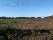 Terrain à LE DELUGE