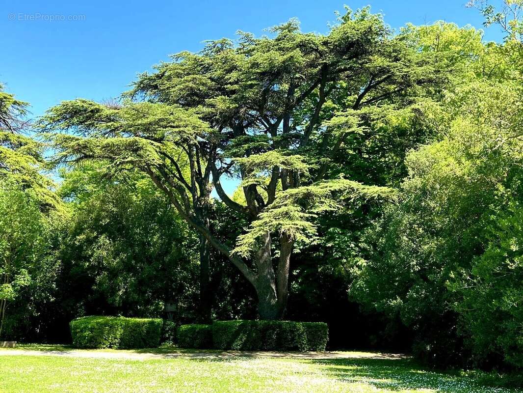 Maison à CARCASSONNE