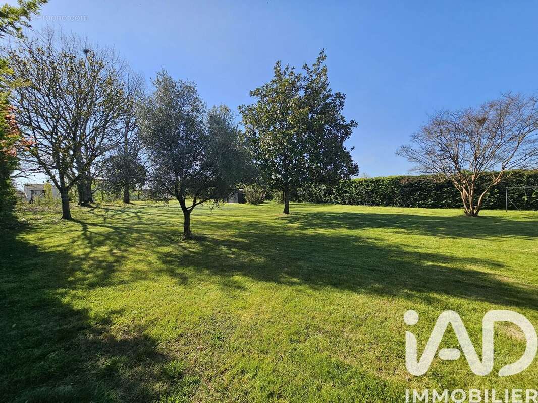 Photo 3 - Maison à CASTELSARRASIN