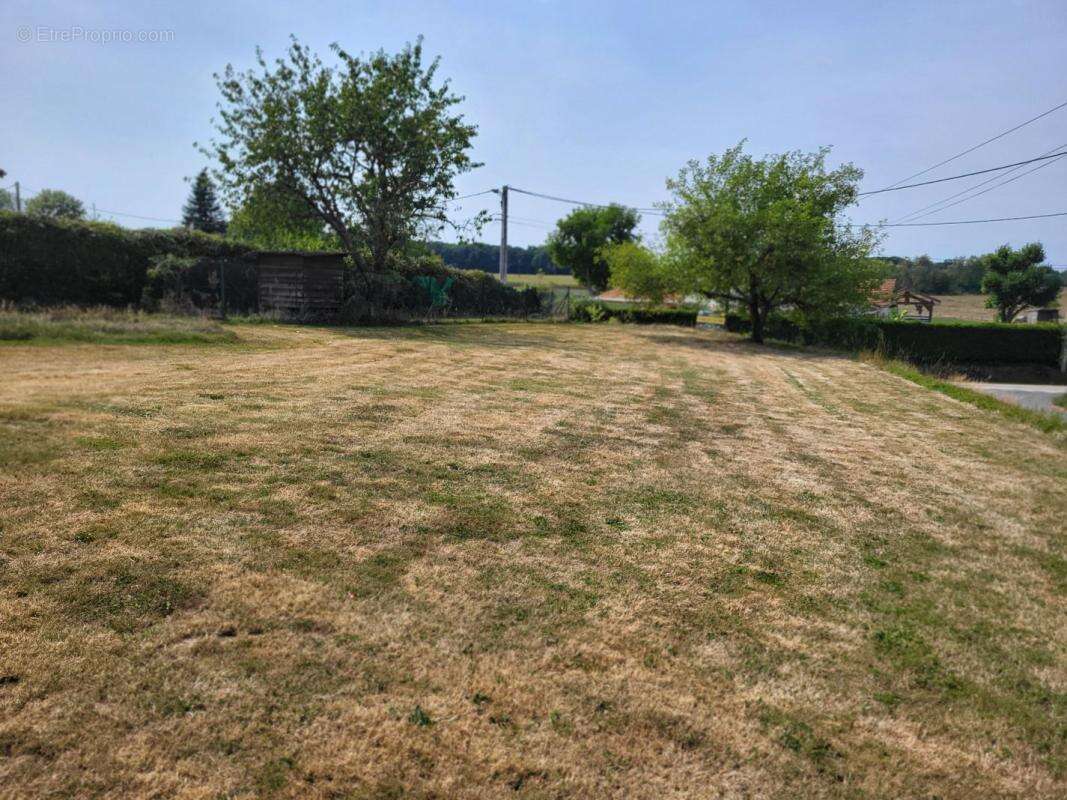 Terrain à DOMPIERRE-SUR-VEYLE