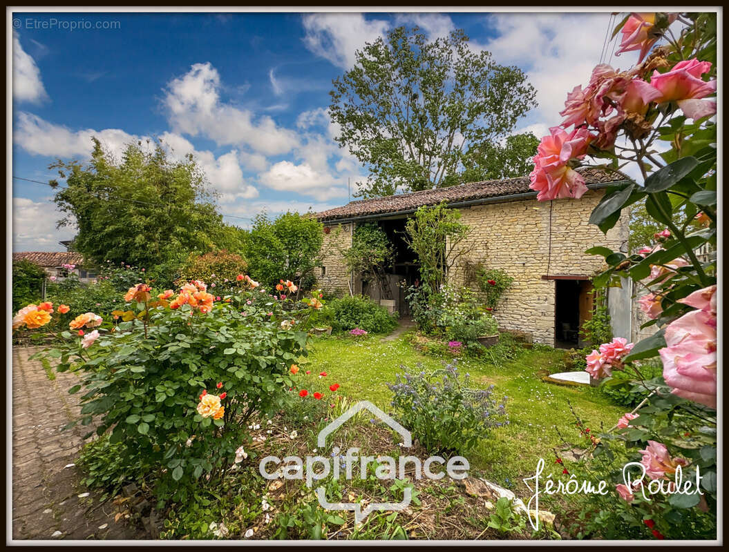 Maison en pierre à vendre 5 pièces 3 chambres Dépendances Terrain 1,5 ha Champigny-En-Rochereau (86) - photo 3