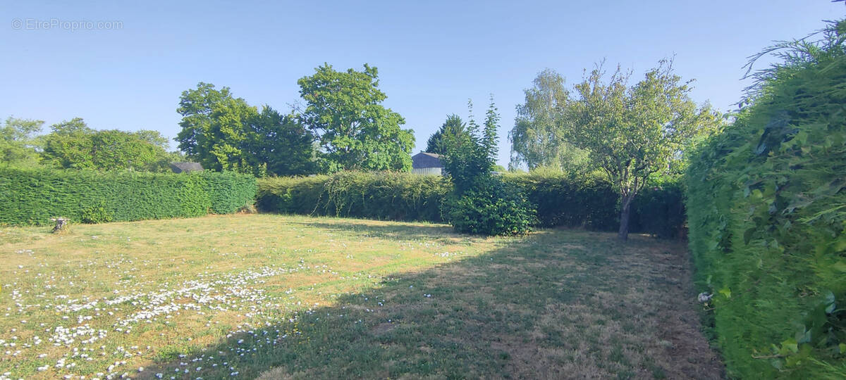 Terrain à AVRILLE
