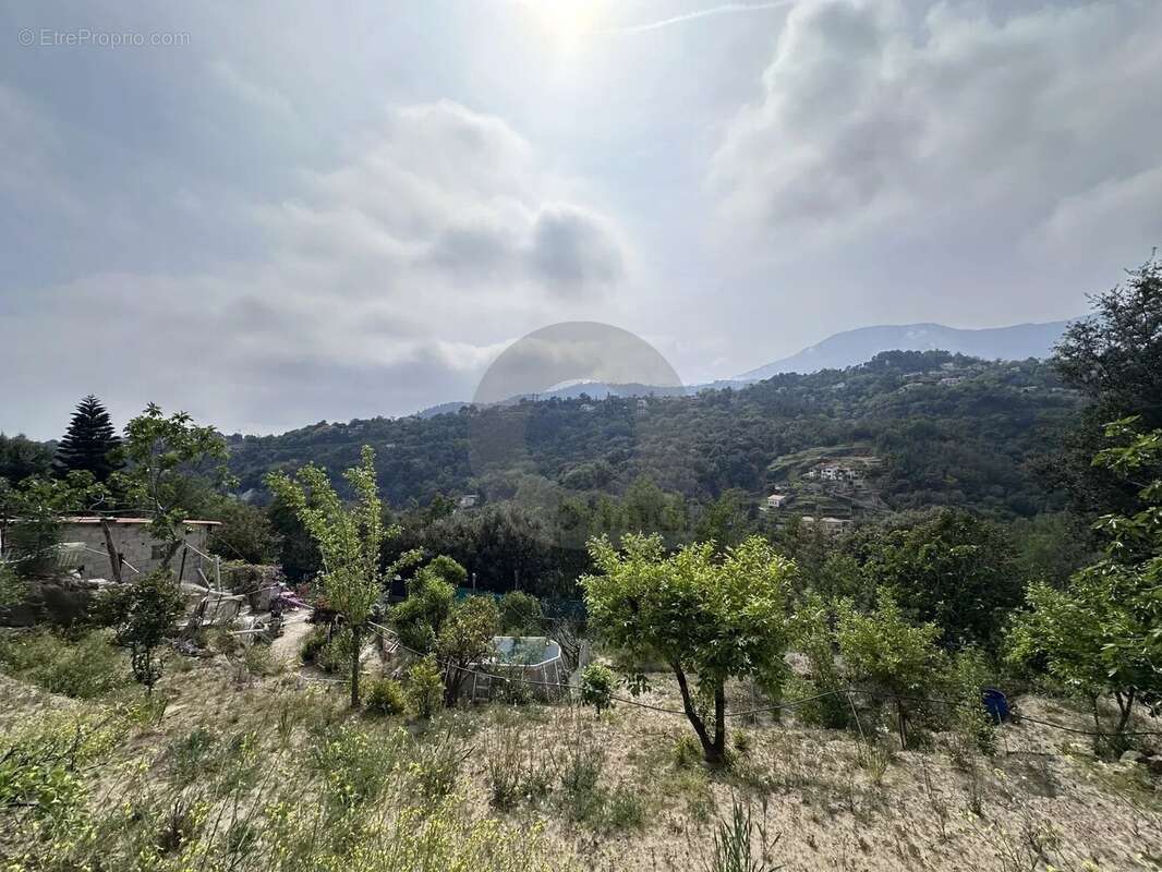 Terrain à MENTON