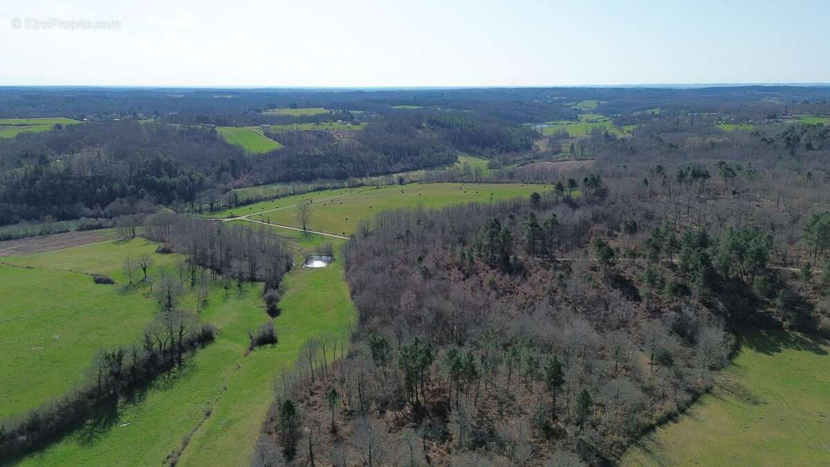 Terrain à DOUVILLE